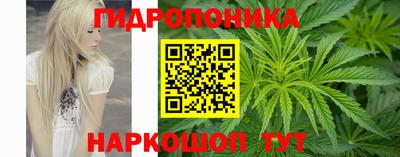 МДПВ Волгодонск